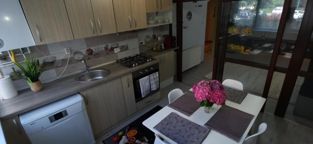 Ana Lux Apartments Брашов Екстер'єр фото