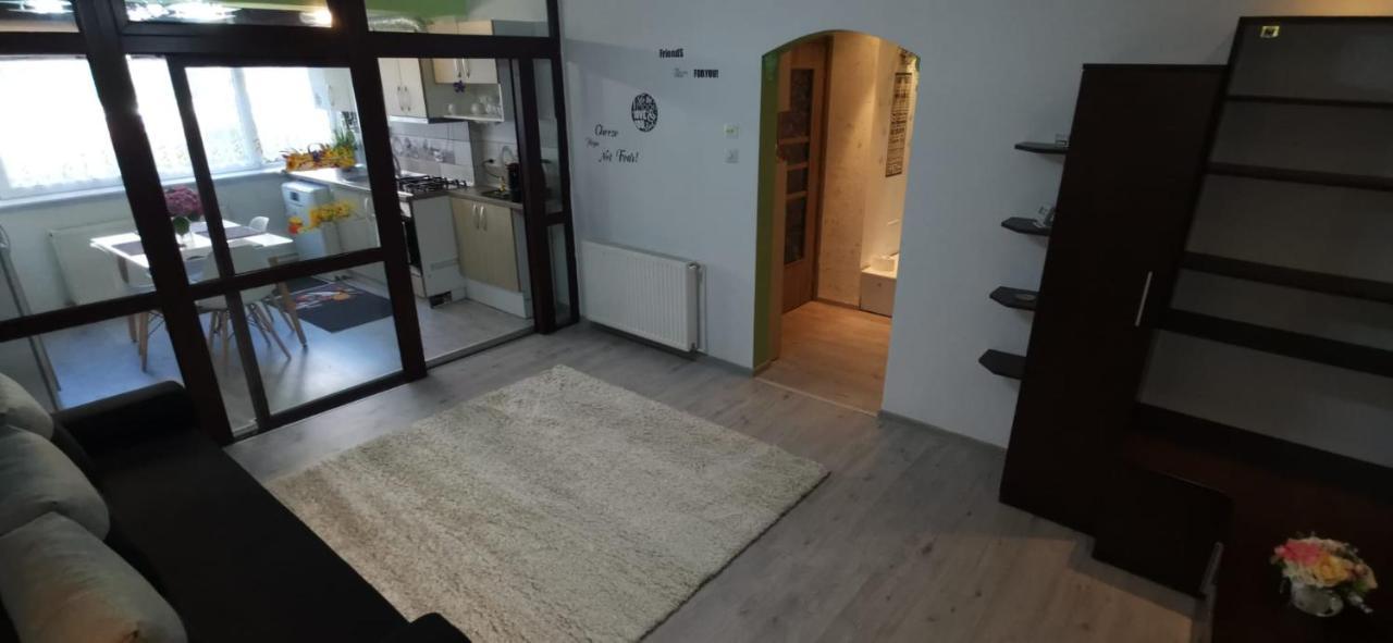 Ana Lux Apartments Брашов Екстер'єр фото